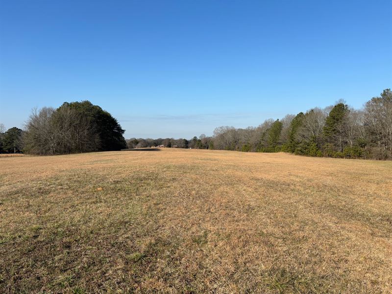 Rockmart GA 15 Ac Open Pasture : Rockmart : Polk County : Georgia