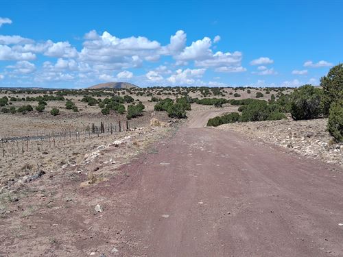 Own Desert Off-Grid Lot with View : Concho : Apache County : Arizona