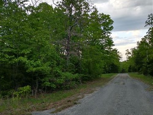 Quiet Ozark Lot in Horseshoe Bend : Horseshoe Bend : Izard County : Arkansas