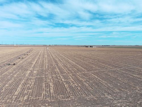 NW Yuma County Pivot Irrigated : Yuma : Colorado