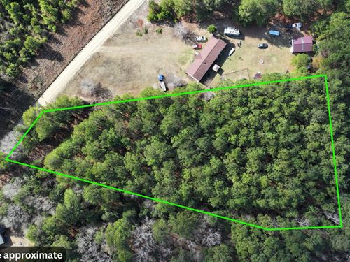 Quiet 2 Acre Property Near Town : Manning : Clarendon County : South Carolina