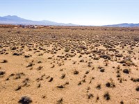 4.3 Ac to Build Your Dream Escape : Kingman : Mohave County : Arizona