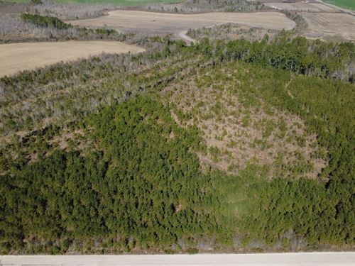 Tract 1, Greyhound Road, Mershon : Mershon : Bacon County : Georgia