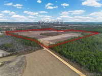 Premier Income-Producing Blueberry : Nicholls : Coffee County : Georgia