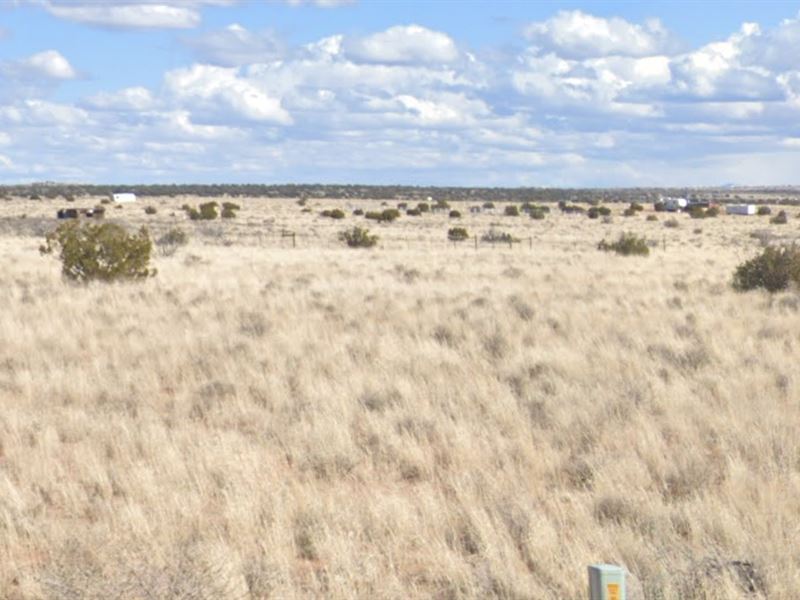 Live Next to 5 Mile Canyon : Snowflake : Navajo County : Arizona