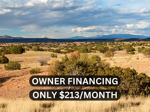 Corner Lot Near 5 Mile Canyon : Snowflake : Navajo County : Arizona