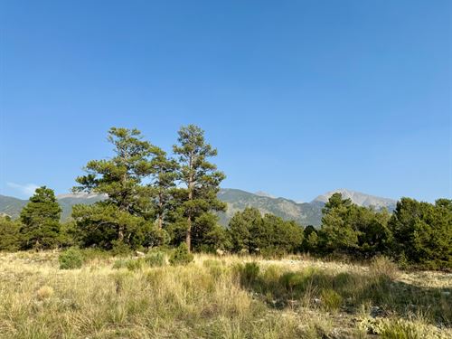 Sand Dunes CO, 1 Acre, $749 Dn : Mosca : Alamosa County : Colorado