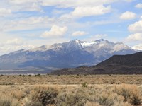 Blanca Peak CO, 5 AC, $524 Dn : Fort Garland : Costilla County : Colorado
