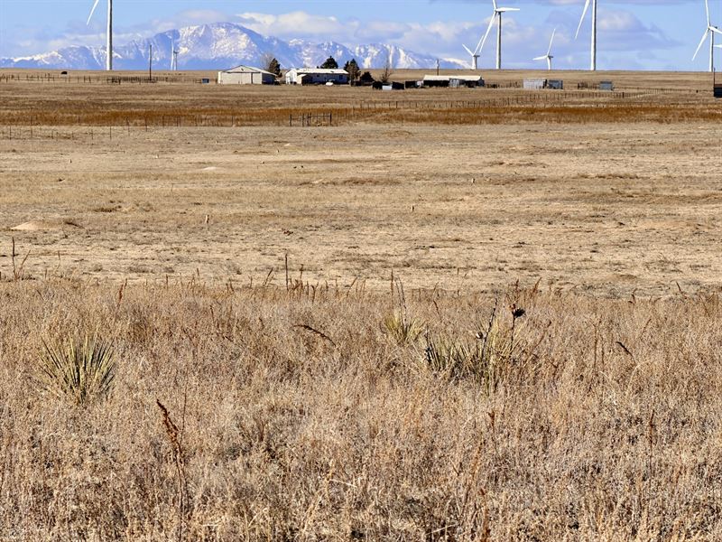 Mulberry North or South : Calhan : El Paso County : Colorado