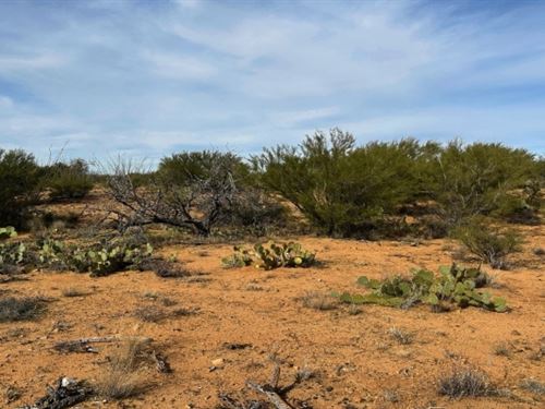 Your Desert Dream Home : Tucson : Pima County : Arizona