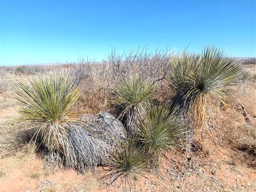 Unrestricted Lot with Mountain View : Van Horn : Culberson County : Texas