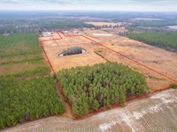 26.75 Acres in Trudie Road, Blacksh : Blackshear : Pierce County : Georgia