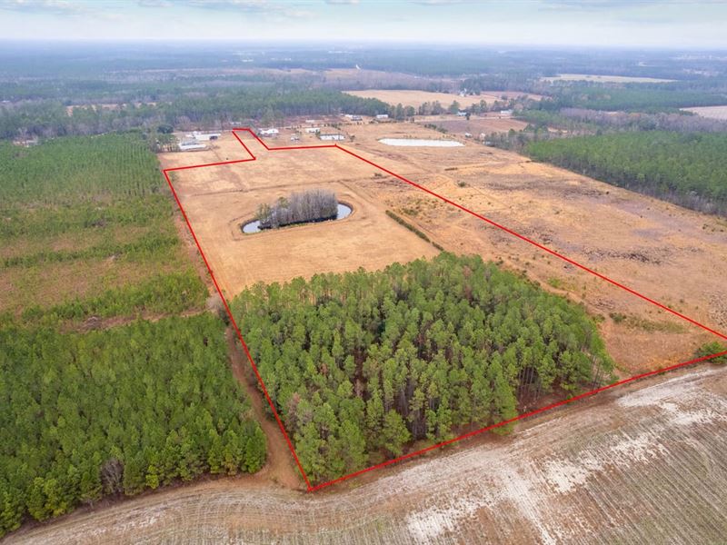 26.75 Acres in Trudie Road, Blacksh : Blackshear : Pierce County : Georgia