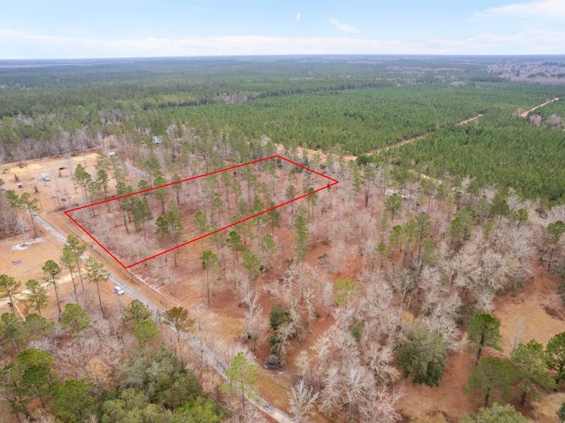 Tract 2, 4 Acres in Loggan Lane : Jesup : Wayne County : Georgia