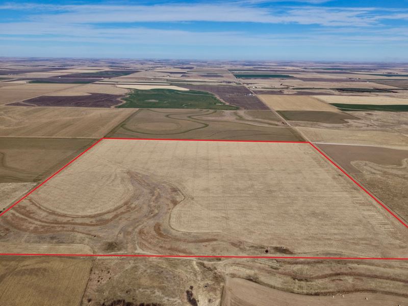 Voda Farm Quarter : Wakeeny : Trego County : Kansas