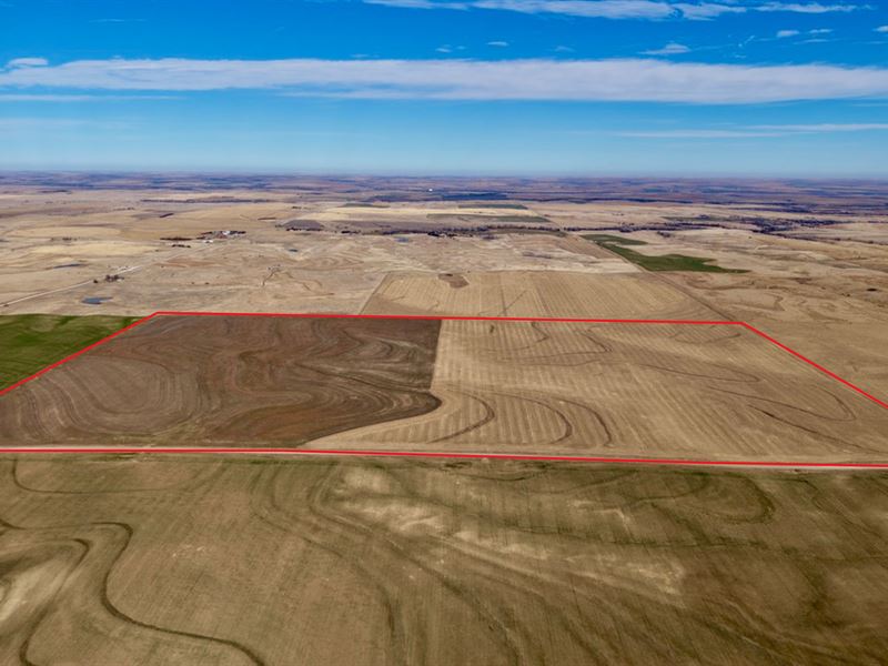 Graham County Tillable : Penokee : Graham County : Kansas