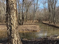 Pine Creek Tract, Sharpsburg, GA : Sharpsburg : Coweta County : Georgia