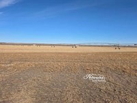 Big Springs Irrigated Farm : Big Springs : Keith County : Nebraska