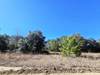 Beautiful Cleared Lot $139/Mo : Interlachen : Putnam County : Florida