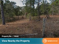 A Beautiful 0.2 Acre Lot in Florida : Putnam : Florida