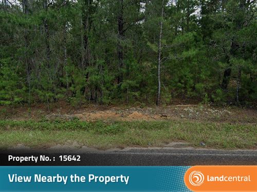 A Wonderful 0.17 Acre in Putnam, FL : Florahome : Putnam County : Florida