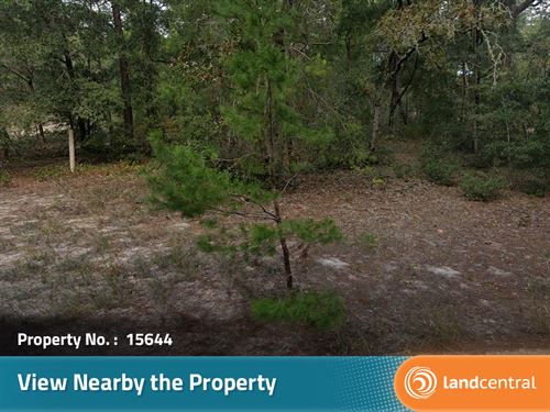Gorgeous 0.17 Acre Corner Lot in FL : Florahome : Putnam County : Florida