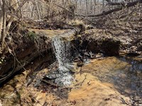 Martin Farm / 88 Acres : Cullman : Alabama