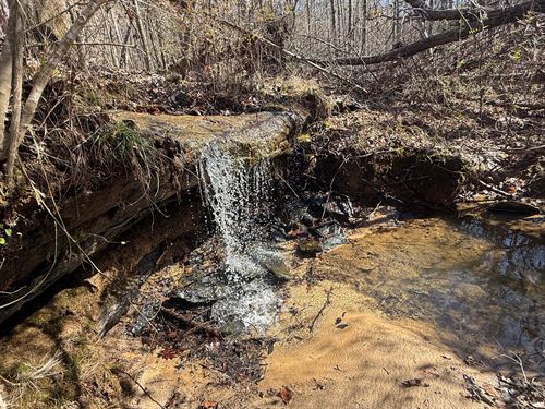 Martin Farm / 88 Acres : Cullman : Alabama