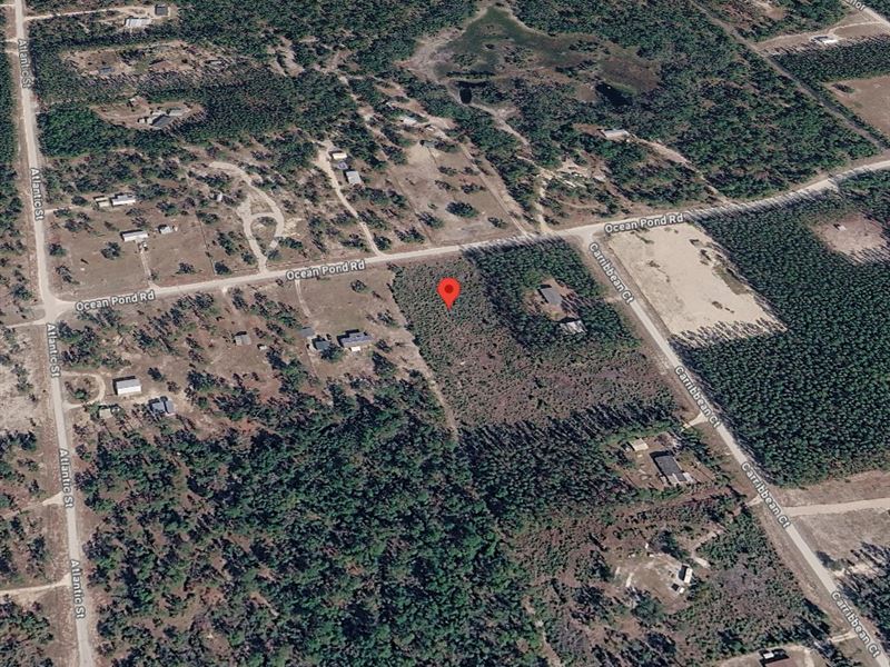 Build Your Dream Home in The Quiet : Perry : Taylor County : Florida