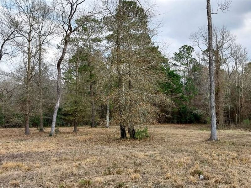 Lot 5, 2.2 Acres, Noah Court, Hu : Huntsville : Walker County : Texas