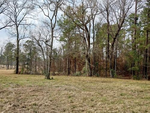 Lot 6, 1.9 Acres, Noah Court, Hu : Huntsville : Walker County : Texas