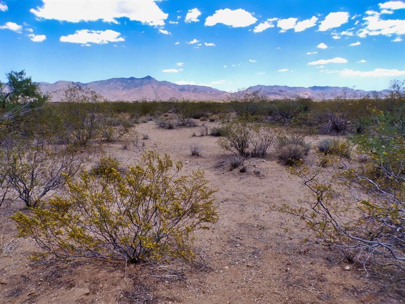 Act Fast Own 1 Acre Stunning Views : Golden Valley : Mohave County : Arizona