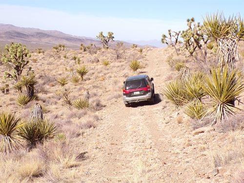 1.07 Acres Near Lake Mead : Dolan Springs : Mohave County : Arizona
