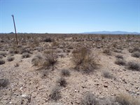 Your Moment to Stop Dreaming : Yucca : Mohave County : Arizona