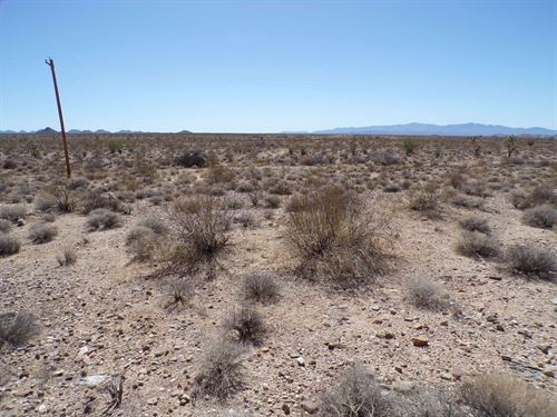 Your Moment to Stop Dreaming : Yucca : Mohave County : Arizona