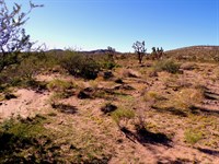 Affordable 1 Acre Near Lake Mohave : Dolan Springs : Mohave County : Arizona