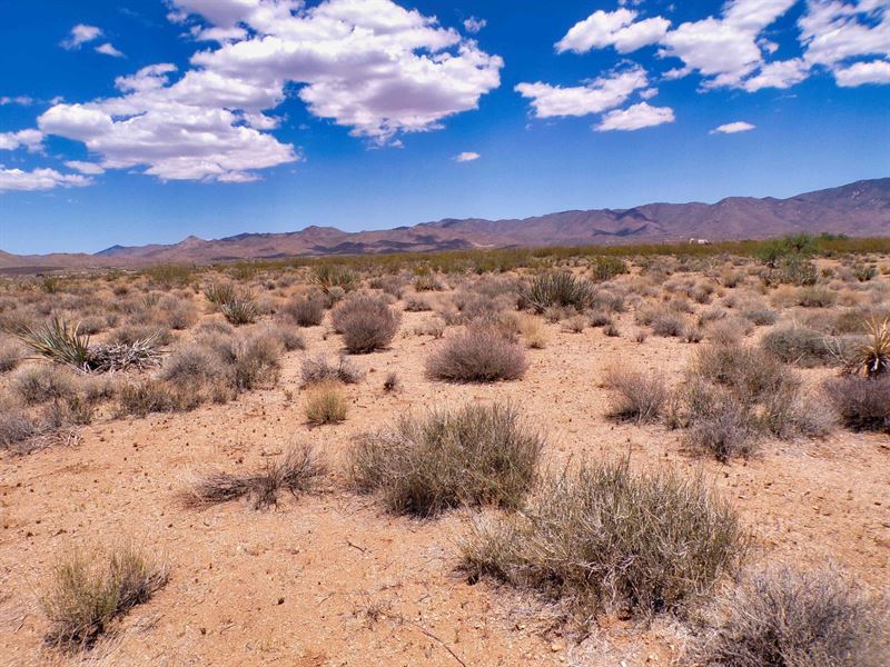 1 Acre in The Tri-State Growth Zone : Golden Valley : Mohave County : Arizona