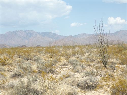 Your Own Stunning 2 Acre Desert : Yucca : Mohave County : Arizona