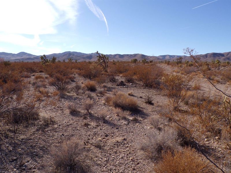 1 Acre Desert Freedom Awaits : Meadview : Mohave County : Arizona