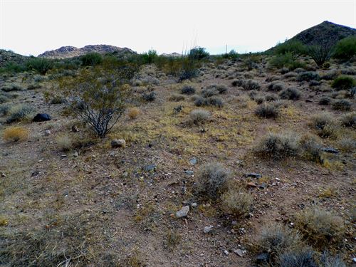 2.35 Acres Perfect Desert Basecamp : Yucca : Mohave County : Arizona