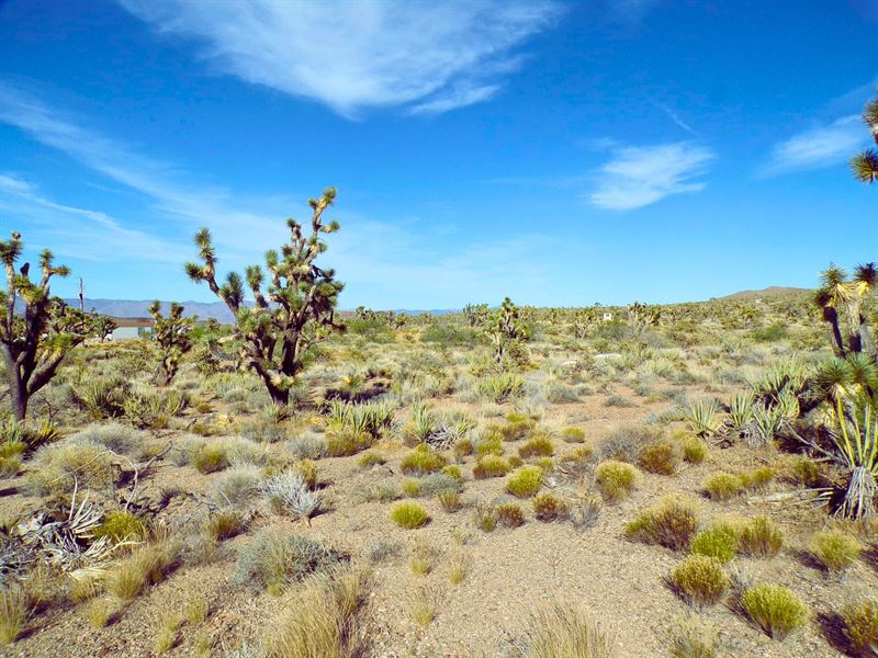 Discover Your Escape, 1.07 Acres : Dolan Springs : Mohave County : Arizona