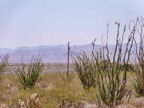 5 Private Acres of Pure Arizona Sky : Yucca : Mohave County : Arizona