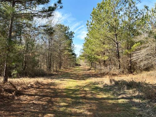 139 Acres Wooded : Keysville : Burke County : Georgia