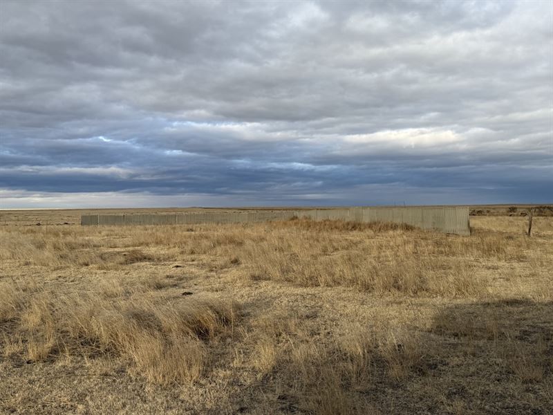 Cheyenne County Ranch, 26007 : Wild Horse : Kit Carson County : Colorado