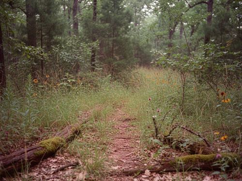 8.91 Acres in Cleveland County, OK : Lexington : Cleveland County : Oklahoma