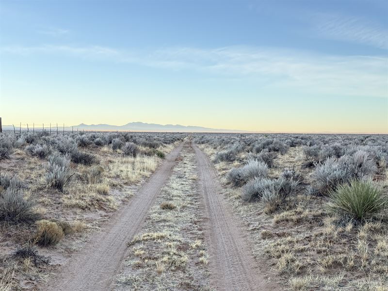 With Option To Expand : Los Lunas : Valencia County : New Mexico