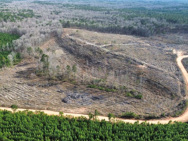 17 Acres Hurtsboro, AL : Hurtsboro : Russell County : Alabama