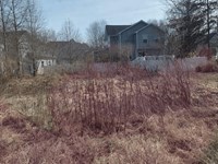 .27 Acre Lot in Tall Timbers, MD : Tall Timbers : Saint Mary's County : Maryland