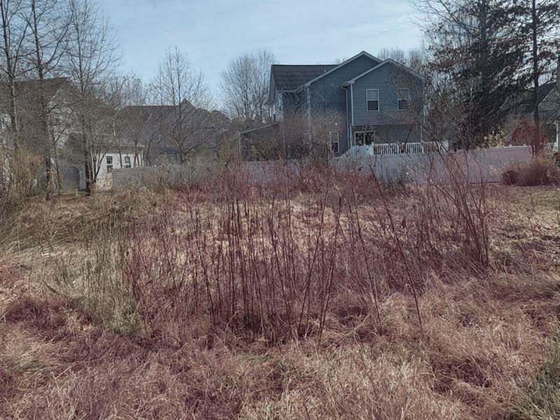 .27 Acre Lot in Tall Timbers, MD : Tall Timbers : Saint Mary's County : Maryland