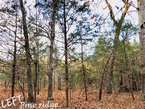 Upscale Lot, Steps From The Lake : Horseshoe Bend : Izard County : Arkansas
